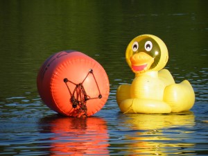 Lake T triathlon duck buoy